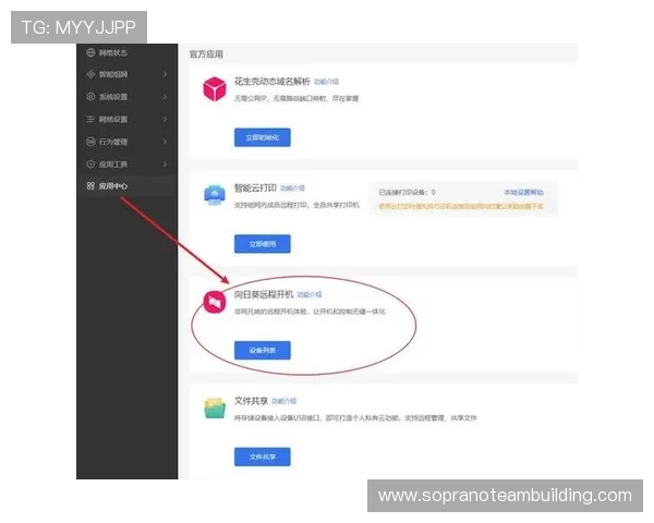 开云体育官方登录页面优化，提升用户体验与安全保障